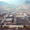 Fiat Mirafiori