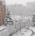 In arrivo la neve?